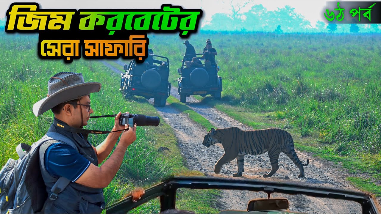 Best Jim Corbett Safari | Jim Corbett | Jim Corbett Park Dhikala Zone | Jim Corbett Tour Part 6