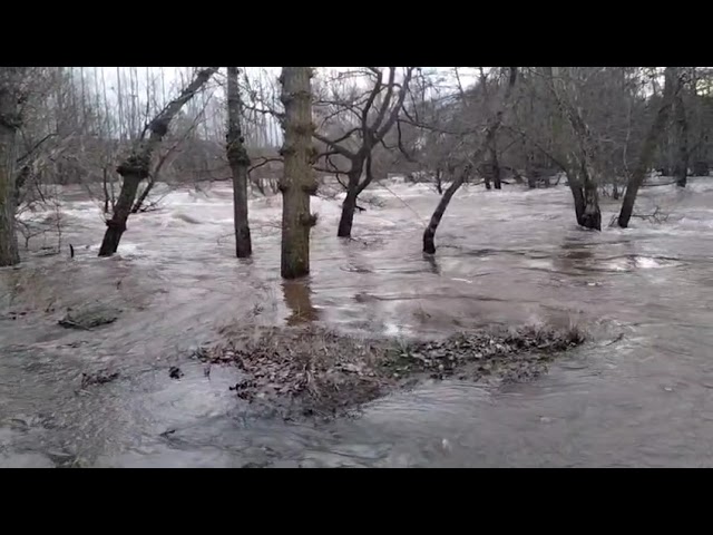 Situación actual del Arlanza