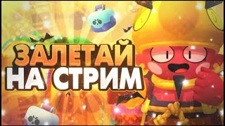 Стрим по Стамбл гайс🍄