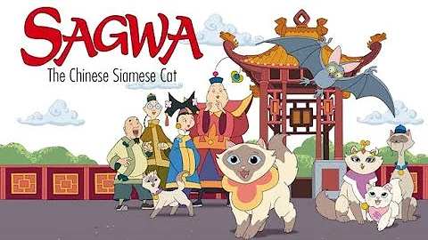 Video 11683251: sagwa chinese siamese cat, stray siamese cat