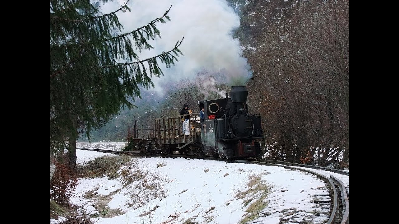 Wassertalbahn Februar 2013 - Mocanita Viseu de Sus - Rumänien