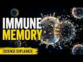 "Why You Don’t Get Sick Twice: The Power of Immune Memory"
