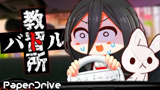 Download lagu Training video.mp4 [PaperDrive, China Rabbit RVC]