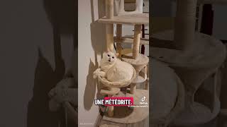 #esprit #malplacé #chaud #fess #snapdrole #drôle #viral #humour #memes