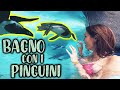 FACCIO IL BAGNO CON I PINGUINI! 🐧 VIDEO MERAVIGLIOSO! 😍 Zoom Torino