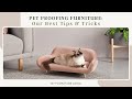 Best Ways to Pet-Proof Your Furniture | Furniture Adda