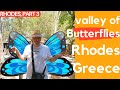Should you visit Butterflies valley on Rhodes? Our experience.