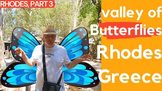 Should you visit Butterflies valley on Rhodes? Our experience.