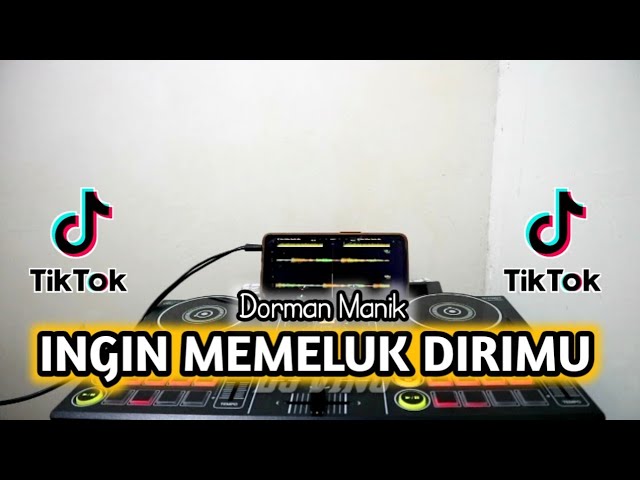 DJ INGIN MEMELUK DIRIMU - REMIX TIK TOK VIRAL TERBARU 2023 class=