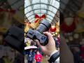 ハッセルブラッドが写すクリスマスのきらめき|Hasselblad X2D II 100C