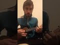 Perkele - Heart full of Pride (Dragan Milosevic ukulele cover)