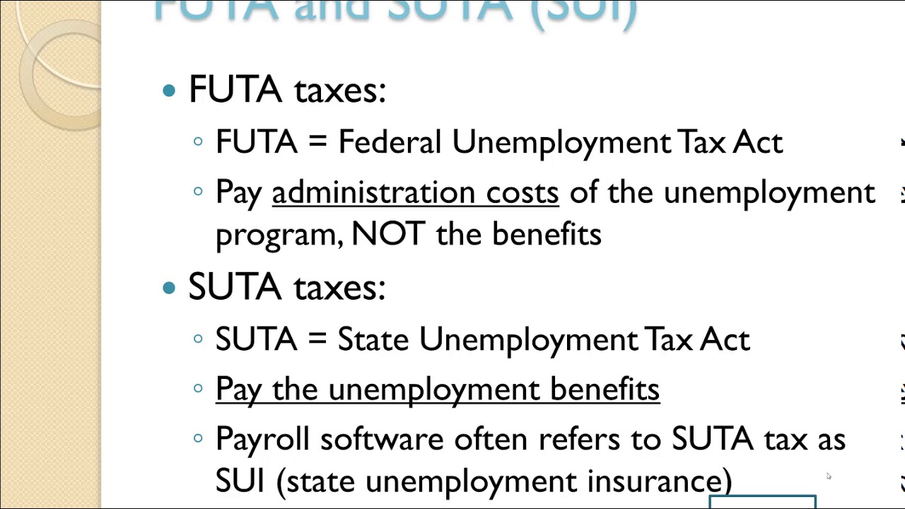Employer Payroll Taxes YouTube