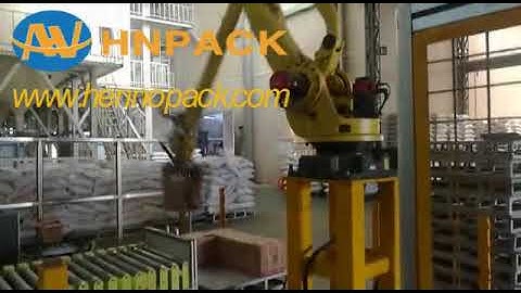 Hennopack robot palletizer for caton box stack