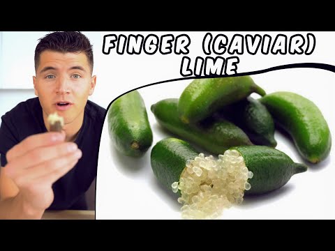 Finger Lime