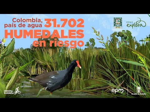 Colombia, país de agua | 31.702 humedales en riesgo | Parque Explora