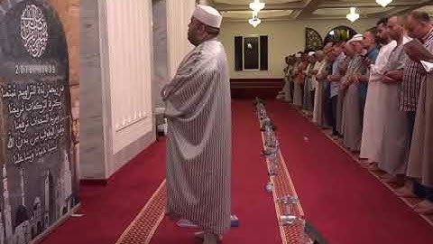 سورة التغابن برواية سيدي قالون القارئ بلال بن محمود حفظه الله
