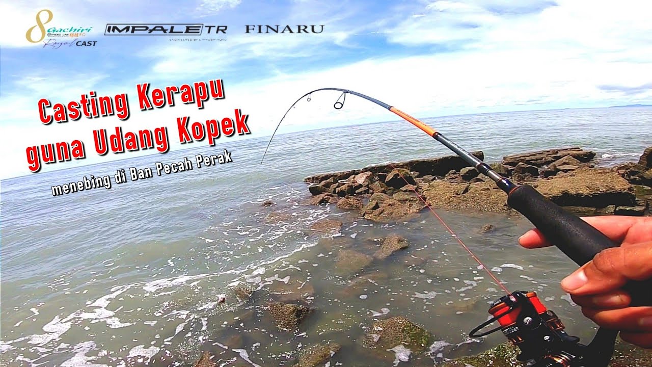 Casting Ikan Kerapu Ban Pecah guna Udang Hidup dan Udang Kopek