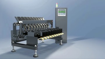Ensure Quality: FASTech Multi-Lane Stick Pack Checkweighers in Action