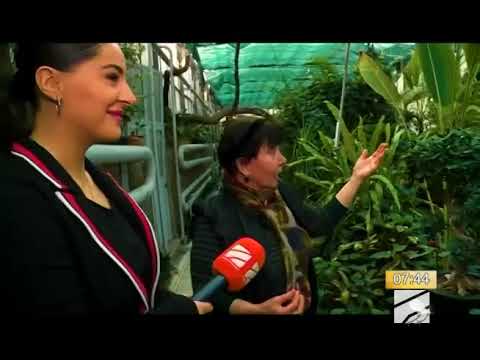 ბოტანიკური ბაღის დღიურები - 6 ნოემბერი