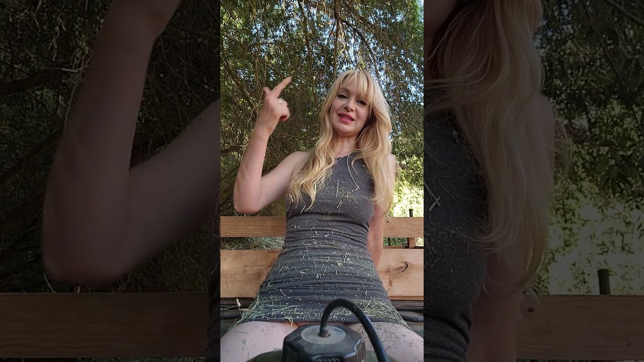 Изящный мошенник в платье из люцерны 105°