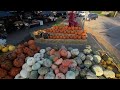 Kirkwood Farmers Market