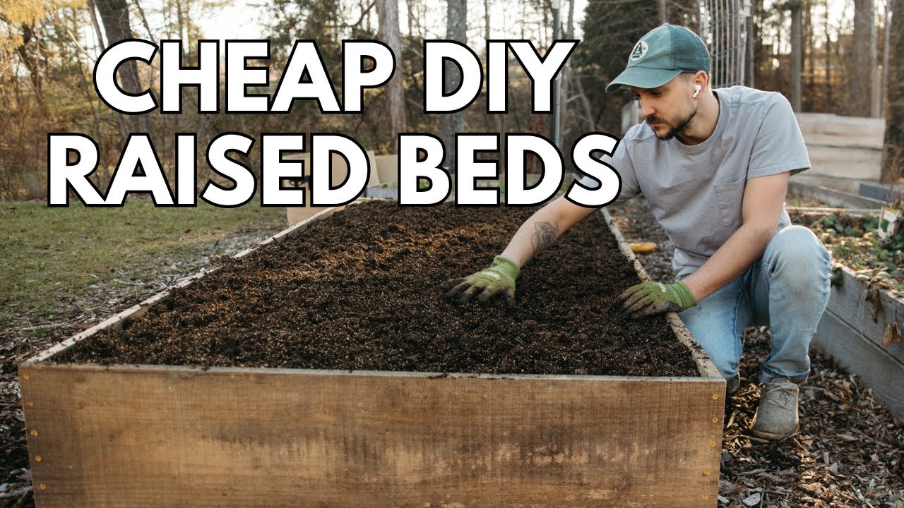 How To Build A Cheap Raised Bed - YouTube