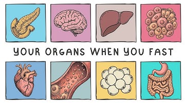 8 Weird Things That Happen to Your Organs If You Fast for 24 Hours