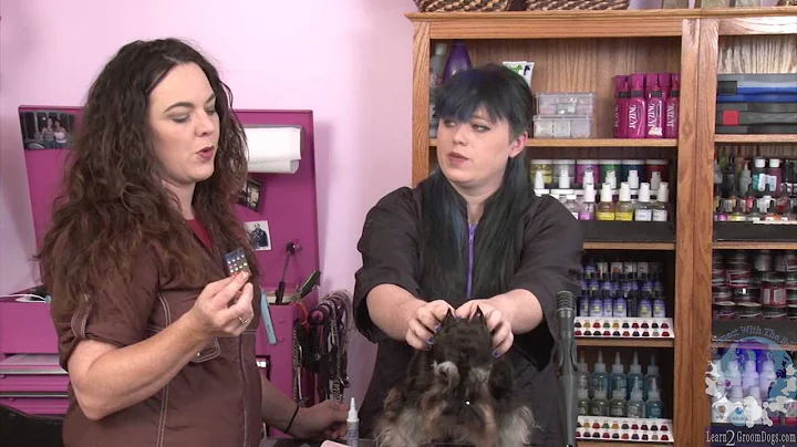 Creative Styling Experts Angela Kumpe and Lori Craig