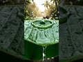 “Rain on Banana Leaf is So Satisfying 🌧️🍃 #Shorts”
