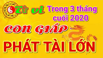 ☯TỬ VI 3 Tháng cuối năm 2020 cho 12 Con giáp PHÁT TÀI LỚN, TIỀN ĐẦY KÉT, GIÀU Ú Ụ