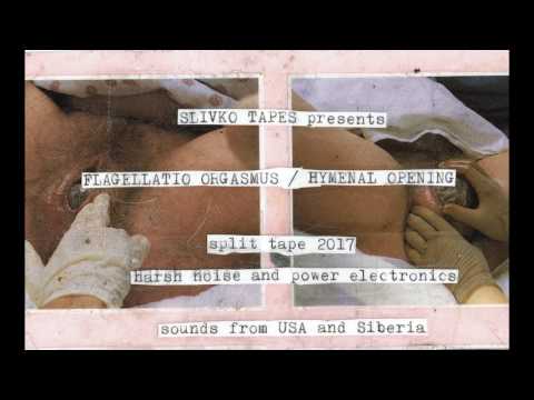 Flagellatio Orgasmus — Flagellatio Orgasmus / Hymenal Opening - Split (2017) - Slivko Tapes 001