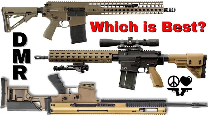 DMR Comparison💰 Best DMR for your Money!?  Designated Marksman Rifle Review Video