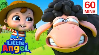 Baby John Sings With His Friend Baa Baa Black Sheep! | Fun With Baby John! | Little Angel Songs