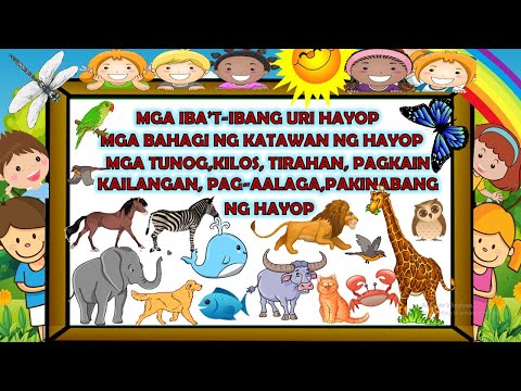 Video: Ano ang mga bahagi ng selula ng hayop at ang kanilang mga tungkulin?