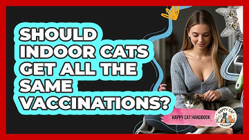 Should Indoor Cats Get All The Same Vaccinations? - Happy Cat Handbook