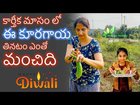 Great Harvesting Time @MohanaMadhilo | గోంగూర కాడలతో దిబ్బు దిబ్బు దీపావళి 🪔