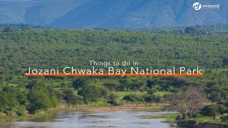 Things to do in Jozani Chwaka Bay National Park. #unforgettable #tanzania #safari #africa
