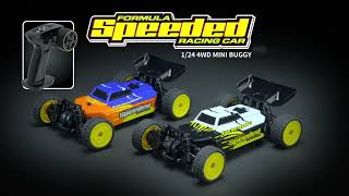 The FIRST running video of Jiabaile 1/24 RC buggy
