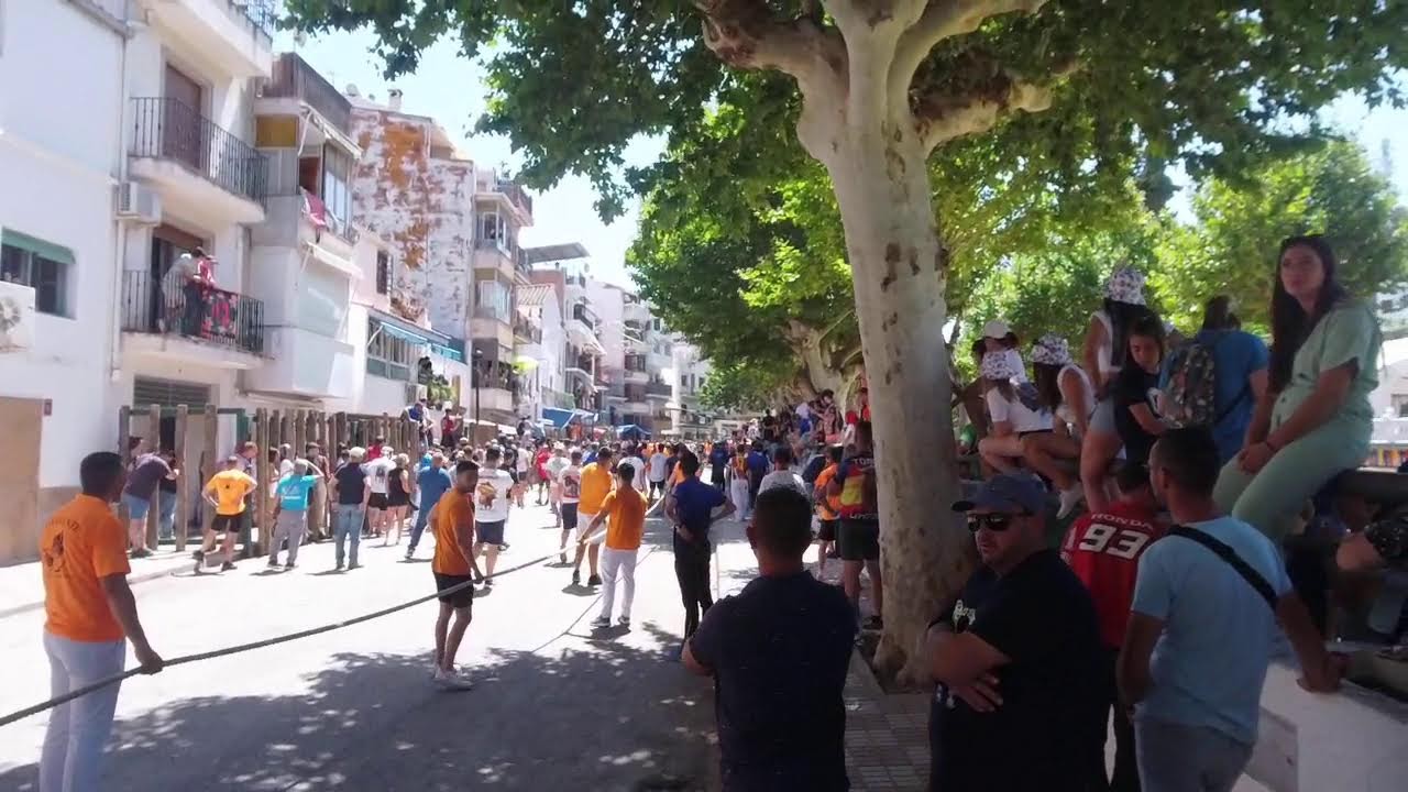 Benavente Congreso Nacional Toro de cuerda XIX