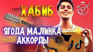 Video thumbnail of "Хабиб - ЯГОДА МАЛИНКА на гитаре | АККОРДЫ без баррэ | ДЛЯ НАЧИНАЮЩИХ и  ПРОДВИНУТЫХ"