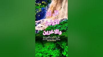 تلاوة خاشعة قرأن كريم راحة نفسية #قران_كريم #قرآن #elmulquranعلم #راحة_نفسية #المصحف #duet