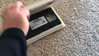 The Land Before Time 2: The Great Valley Adventure VHS Review