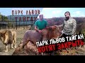 Парк Львов Тайган ХОТЯТ ЗАКРЫТЬ. Ложь СМИ !