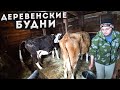 Деревенские будни / Про клещей / Инкубаторы