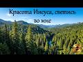 Красота Иисуса, светись во мне. 249. Гимны надежды. Караоке. Let the Beauty of Jesus Be Seen in Me.