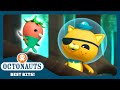 Octonauts Vegimal Spotting In The Mangrove Forest Season 3 Best Bits 