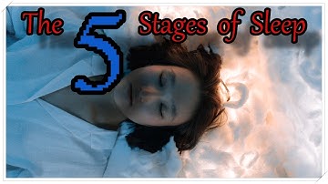 The 5 Stages of Sleep