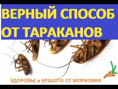 ЭТО САМЫЙ ЭФФЕКТИВНЫЙ бесплатный СПОСОБ ИЗБАВЛЕНИЯ ОТ ТАРАКАНОВ