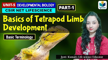 BASICS OF TETRAPOD LIMB DEVELOPMENT  |CSIR NET| DEVELOPMENTAL BIOLOGY