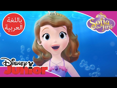 صوفيا الأولى فرس البحر 